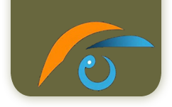 lynco-logo-haut lynco cineaste naturaliste